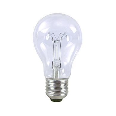 Průmyslová žárovka otřesuvzdorná AGR 25W A55 E27 230V čirá